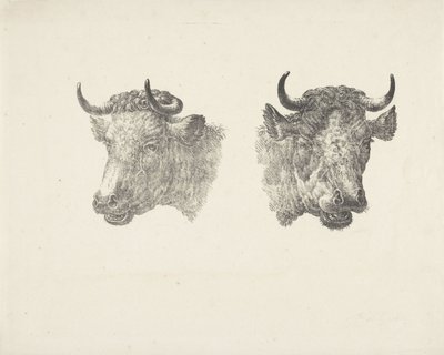 Deux têtes de taureaux - Pieter Bartholomeusz. Barbiers