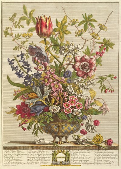Février, de 