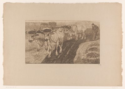 Bœufs labourant - Pieter Dupont (signed by artist)