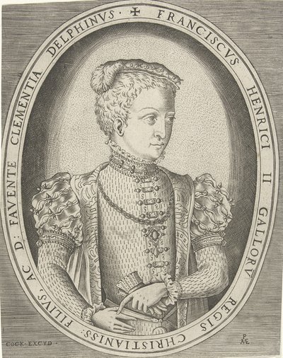 Portrait de François II de France 1544-1560 - Pieter Heyden van der