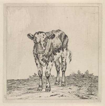 Paysage avec veau - Pieter Janson