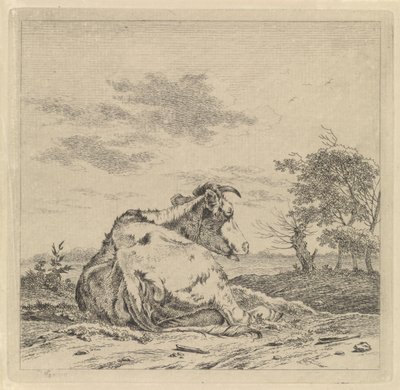 Paysage avec vache couchée - Pieter Janson