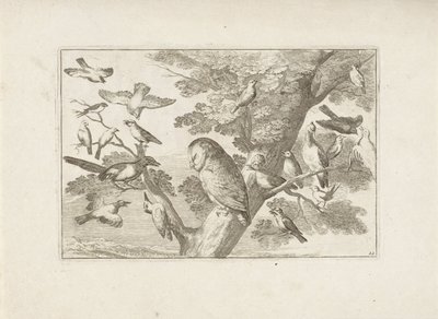 Hibou et autres oiseaux dans un arbre - Pieter Schenk (I) (attributed to)