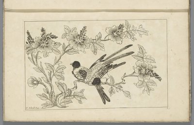 Deux oiseaux sur une branche fleurie - Pieter Schenk (II)