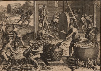 Les esclaves traitent la canne à sucre et fabriquent du sucre - Pieter Van der Aa