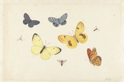 Feuille d