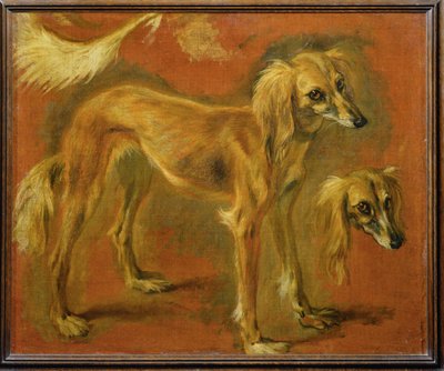 Un lévrier (peinture sur toile) - Pieter or Peter Boel