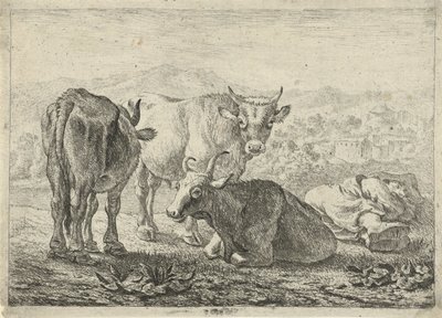 Allemand : Drei Rinder und ein schlafender Hirte
Français : Les boeufs
Trois bovins et un berger endormi - Pieter van Laer