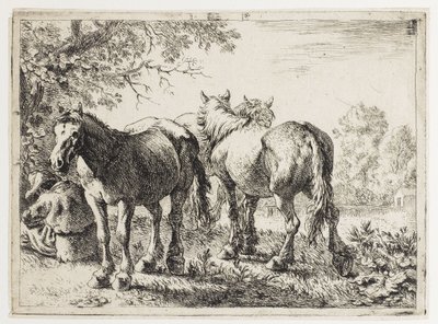Trois chevaux dans un champ - Pieter van Laer
