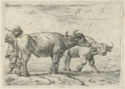 Deux buffles et un berger - Pieter van Laer