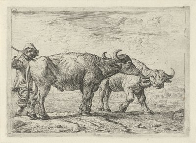 Deux buffles et un berger - Pieter van Laer