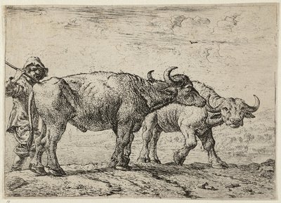 Deux buffles et un berger - Pieter van Laer