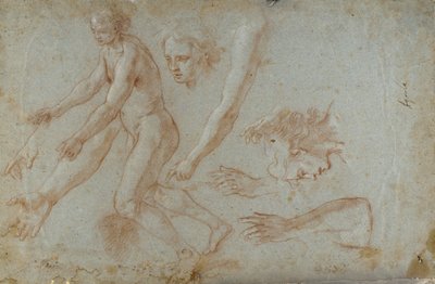 Dessin - Pietro Aquila