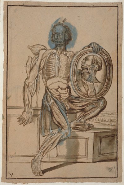 Ms Hunter 653 Planche V Dessin anatomique, c.1610 - Pietro da Cortona