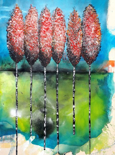 Les arbres aux couleurs chatoyantes de l