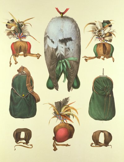 Équipement pour la fauconnerie, du 