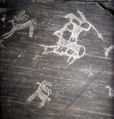 Civilisation des Camunni, Préhistoire, art rupestre : roche funéraire, représentant des chasseurs et des cerfs. Rocher de Naquane, dans la Valcamonica (Val Camonica) - Prehistoric Prehistoric