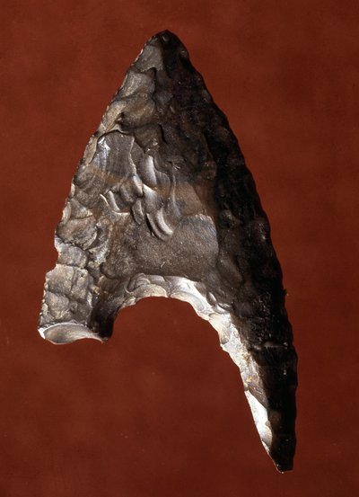 Antiquité égyptienne : pointe de flèche du site de Fayoum en Égypte - Prehistoric Prehistoric