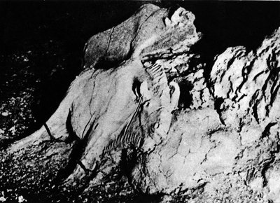 Préhistoire : art paléolithique, deux bisons en argile, grotte du Tuc d