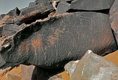 Préhistoire, art rupestre : roche gravée de la représentation de bovins. Style Tazina. Âge de pierre 5000-2000 av. J.-C. Taghit, Haut plateau du Hoggar (Ahaggar), Algérie - Prehistoric Prehistoric