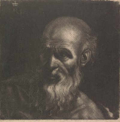 Vieil homme - Prince Rupert