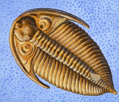 Fossile - R.B. Davis