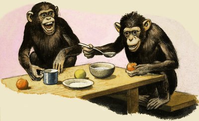 Z comme Zoo. Le goûter du chimpanzé - R.B. Davis