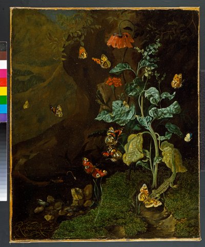 Nature morte avec fleurs, papillons et un lézard dans un vallon, avant 1750 - Rachel Ruysch