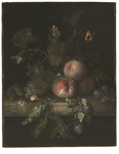 Pêches, raisins et prunes avec une libellule, un escargot, une chenille, des papillons de nuit et d
