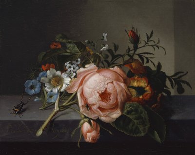 Nature morte avec branche de rose, scarabée et abeille, 1741 - Rachel Ruysch