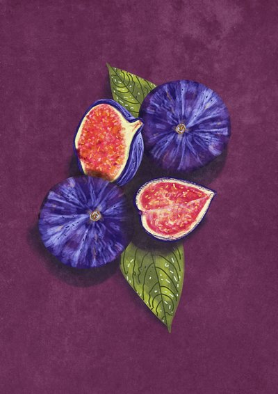 Nature morte aux figues - Raissa Oltmanns