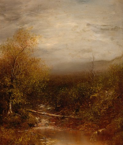 Piscine dans les Adirondacks - Ralph Albert Blakelock