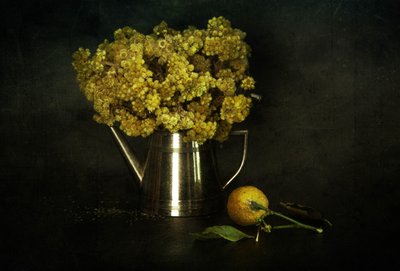  - Ramiz Sahin