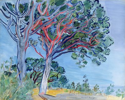 Le pin rouge - Raoul Dufy