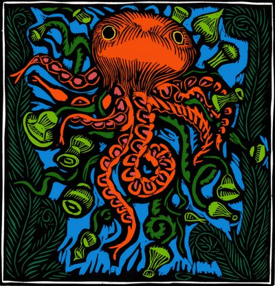 Zoologie / Vie marine / Poulpe - Raoul Dufy