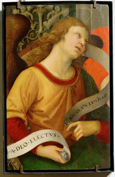 Angel ... - Raphael (1483-1520)