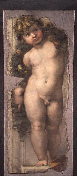 Putto avec feston - Raphael