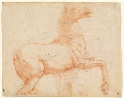 Un cheval de marbre sur la colline du Quirinal (recto), vers 1513 - Raphael (1483 1520)