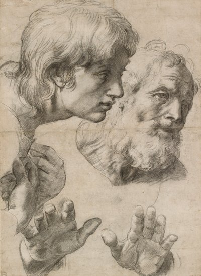 Études des têtes de deux apôtres et de leurs mains, 16e siècle - Raphael