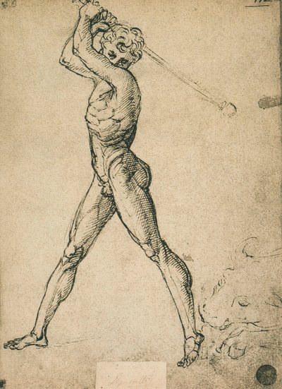 Hercule tue le taureau - Raffaello Sanzio Raphael