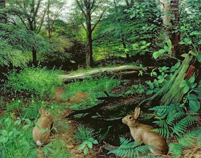 Dans les bois - Une soirée d
