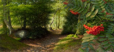 Après-midi de septembre à l