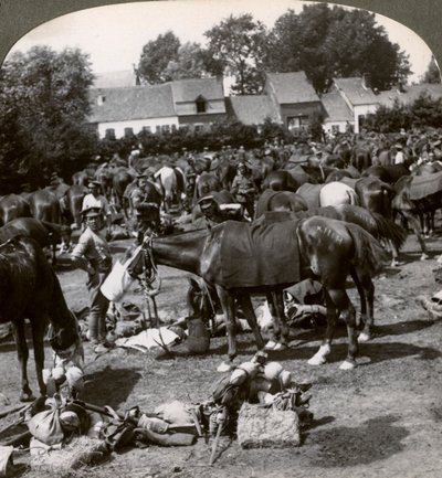 Troupes nourrissant leurs chevaux et se reposant en marche, Première Guerre mondiale, 1914-1918 - Realistic Travels Publishers