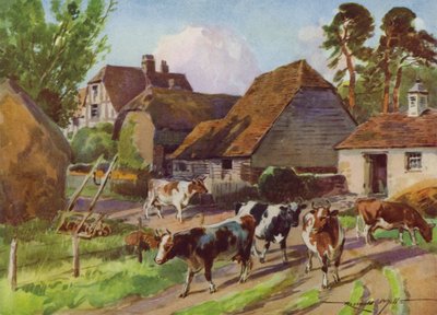 Illustration pour Ma Ferme - Reginald Mills