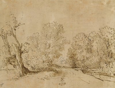 Une route boisée - Rembrandt van Rijn