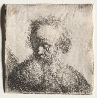 Vieil homme à la barbe naissante : Buste - Rembrandt Harmensz. van Rijn