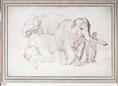  - Rembrandt Harmensz. van Rijn