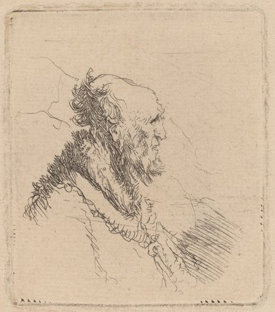 Vieil homme chauve avec une courte barbe de profil - Rembrandt van Rijn