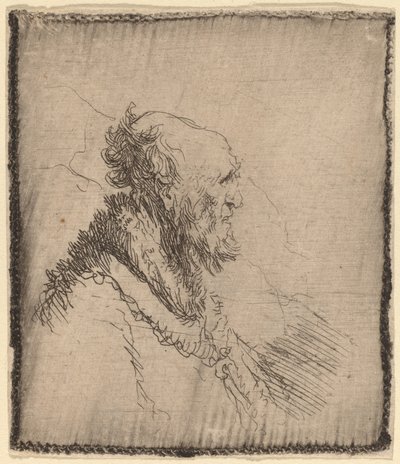 Vieil homme chauve avec une courte barbe de profil - Rembrandt van Rijn