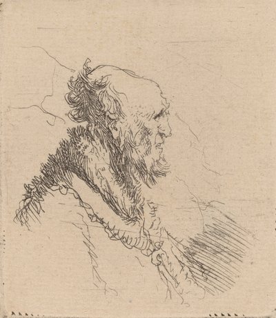 Vieil homme chauve avec une courte barbe de profil - Rembrandt van Rijn
